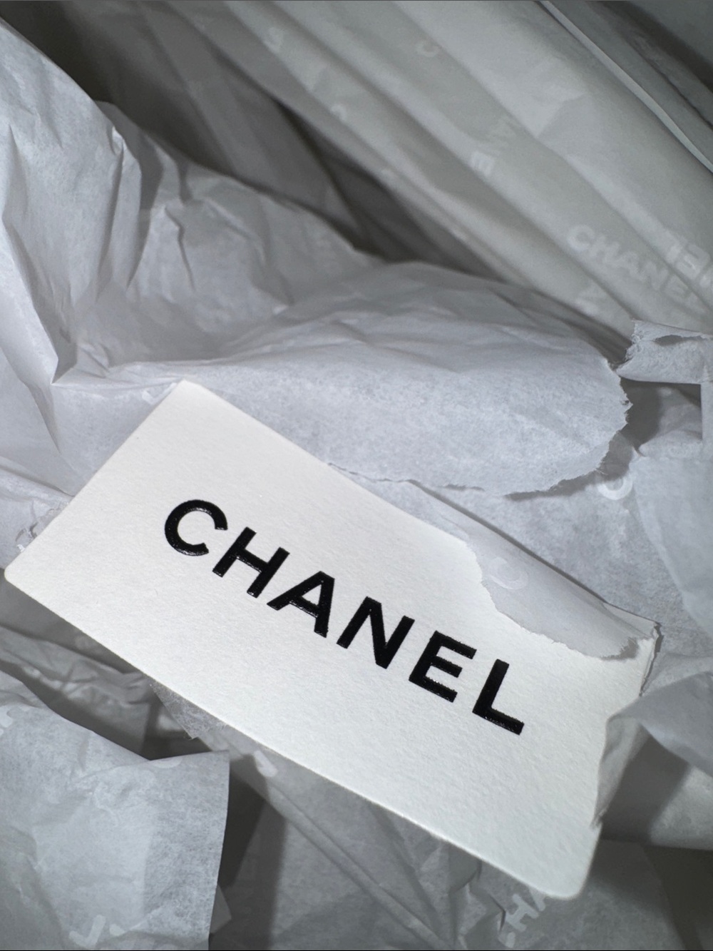 Large CHANEL Black and White Box & Bag Set with 2 Camellia+ receipt holder - Picture 4 of 13